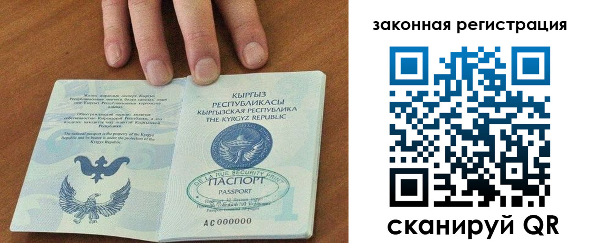 прописка гарантия в Березниках